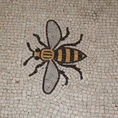 Carl Sheridan's profile picture