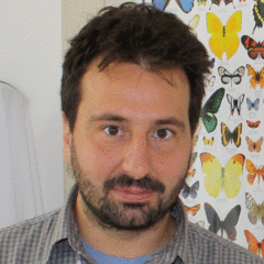 Sergio Angeli's profile picture