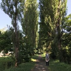 Fen-Hauh Jan's profile picture