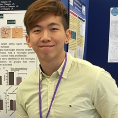 Godwin Tong's profile picture