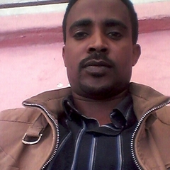 Fentahun  Abere's profile picture