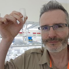 David Studholme's profile picture