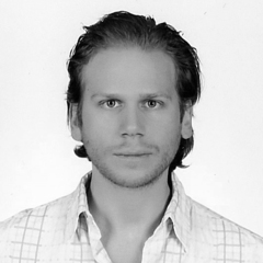 Peter J. Stavroulakis's profile picture