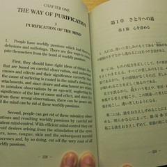 Yunuen Mandujano-Salazar's profile picture