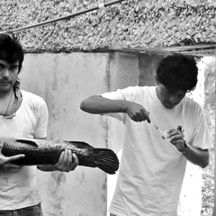 Wilfrido Contreras-Sanchez's profile picture