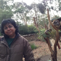 Manohari Balasingam's profile picture