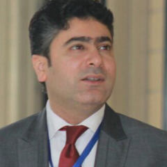 Tamer Atef's profile picture