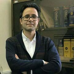 Mohammad Ali Heidari-Shahreza's profile picture