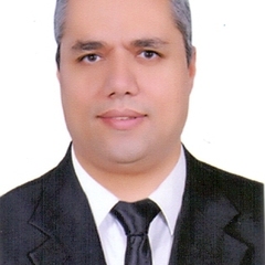 Mohammed  El-Magd's profile picture
