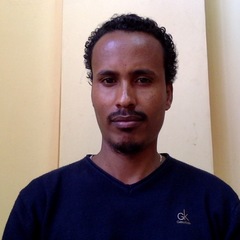 Ayalew Assefa's profile picture