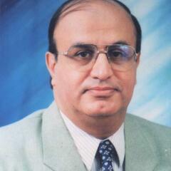 Mohamed Zaghloul's profile picture