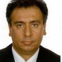 Manuchehr Irandoust's profile picture