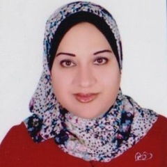 hanan  fayed's profile picture