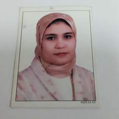 Engy Aboelnaga's profile picture