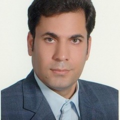 Majid Vaseghi's profile picture