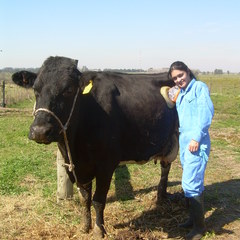 Analía Pérez Ruchel's profile picture