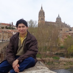 José Luis Reyes-Rodríguez's profile picture