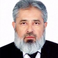 Muhammad  Siddiqui's profile picture