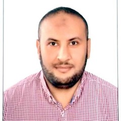 Mohamed El-bendary's profile picture