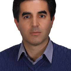 Hossein Kouhestani's profile picture