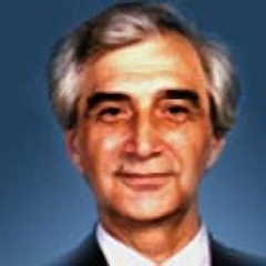 Talat Mehdiyev's profile picture