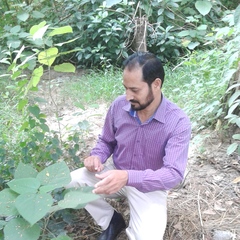 Nasim Yasin's profile picture