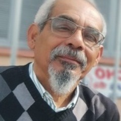 Luiz Pinto's profile picture