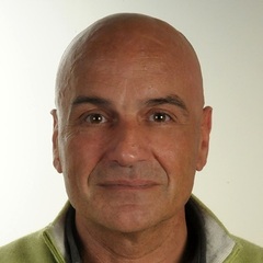 ANGELO DE STRADIS's profile picture