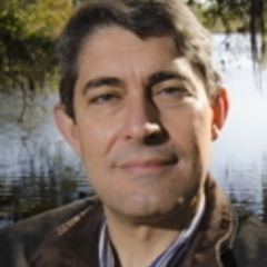 Rafael Muñoz-Carpena's profile picture