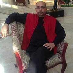 Sayed Metwally's profile picture