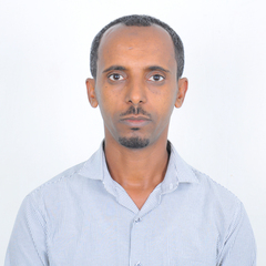 Ousman Abdela's profile picture