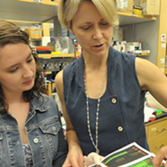 Cara Gottardi's profile picture