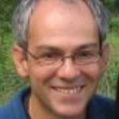 Marco Antonellini's profile picture