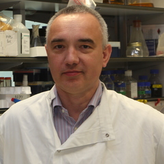 Andrew Trafford's profile picture