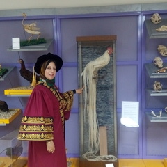 Saffanah Mahmood's profile picture