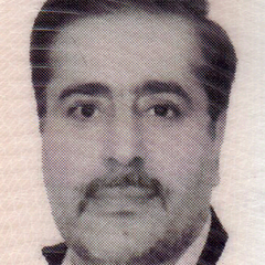 Hossein Shirazi's profile picture