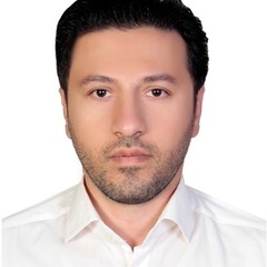 Amir Heidary's profile picture