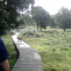 Christine Dunkley's profile picture