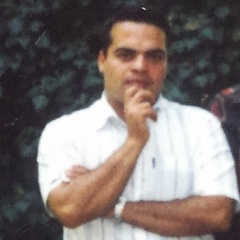 Mohammad Mohajeri's profile picture