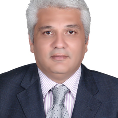 Wael El-Haig's profile picture