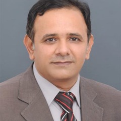 Syed Hassan  Raza's profile picture