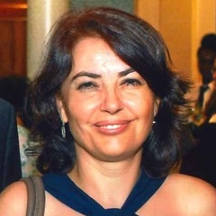 Aysin Dedekorkut-Howes's profile picture