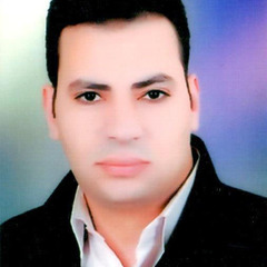 Mahmoud Abd El-Magied's profile picture