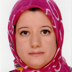 Hanan Hashem's profile picture