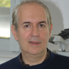 Policarp Hortolà's profile picture