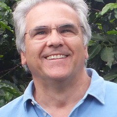 Jose Navarro's profile picture