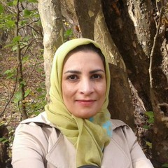 Mahboobeh Kiani-Harchegani's profile picture