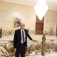 Gamal Zayed's profile picture