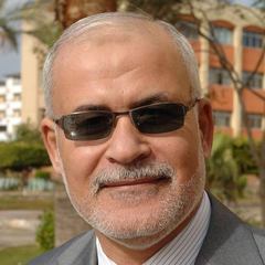 Hassan El-Morshedy's profile picture