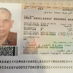 Emad Badawi's profile picture